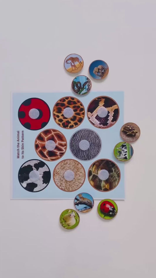 “Match the Animal to Its Skin Pattern.”